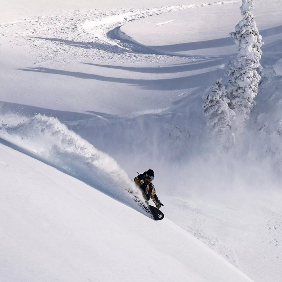 Sale Snowboards