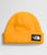 The North Face Salty Dog Lined Beanie