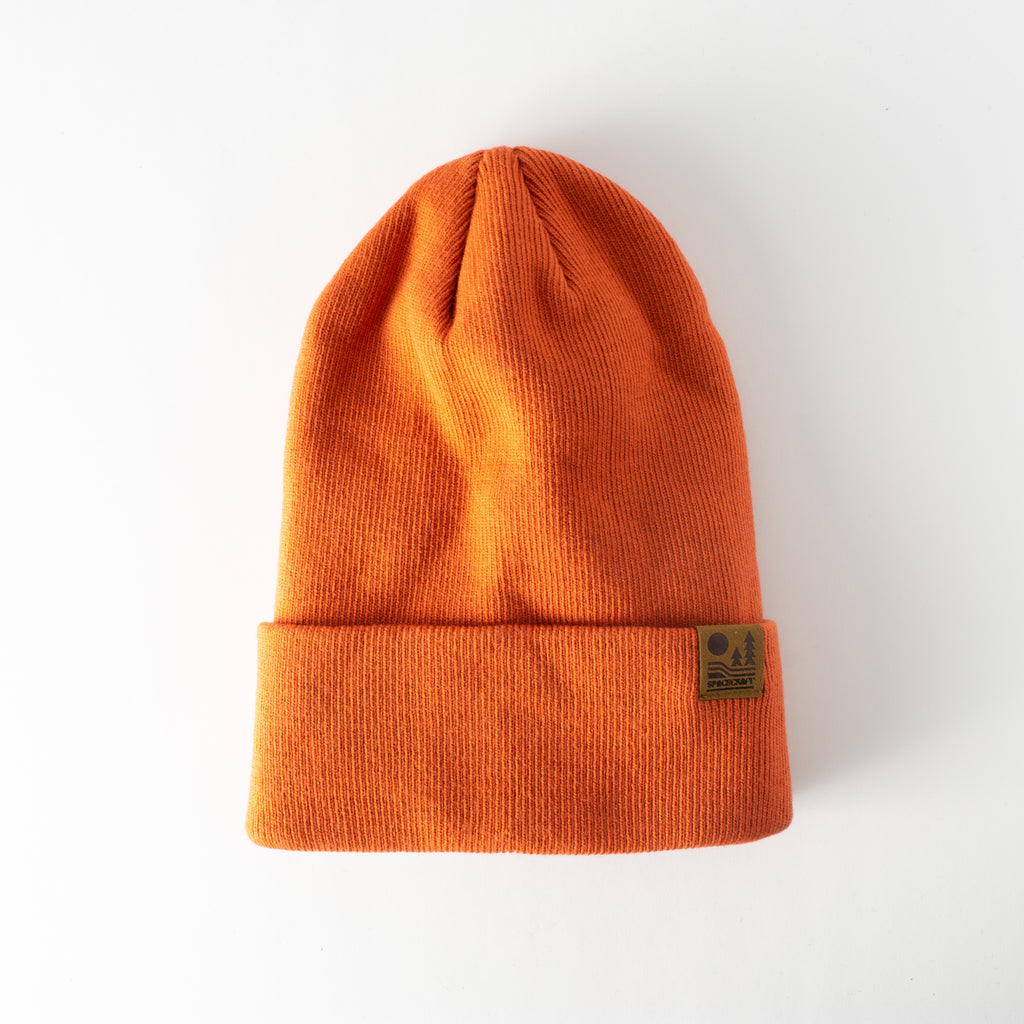 Spacecraft Otis Beanie