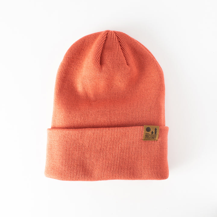 Spacecraft Otis Beanie