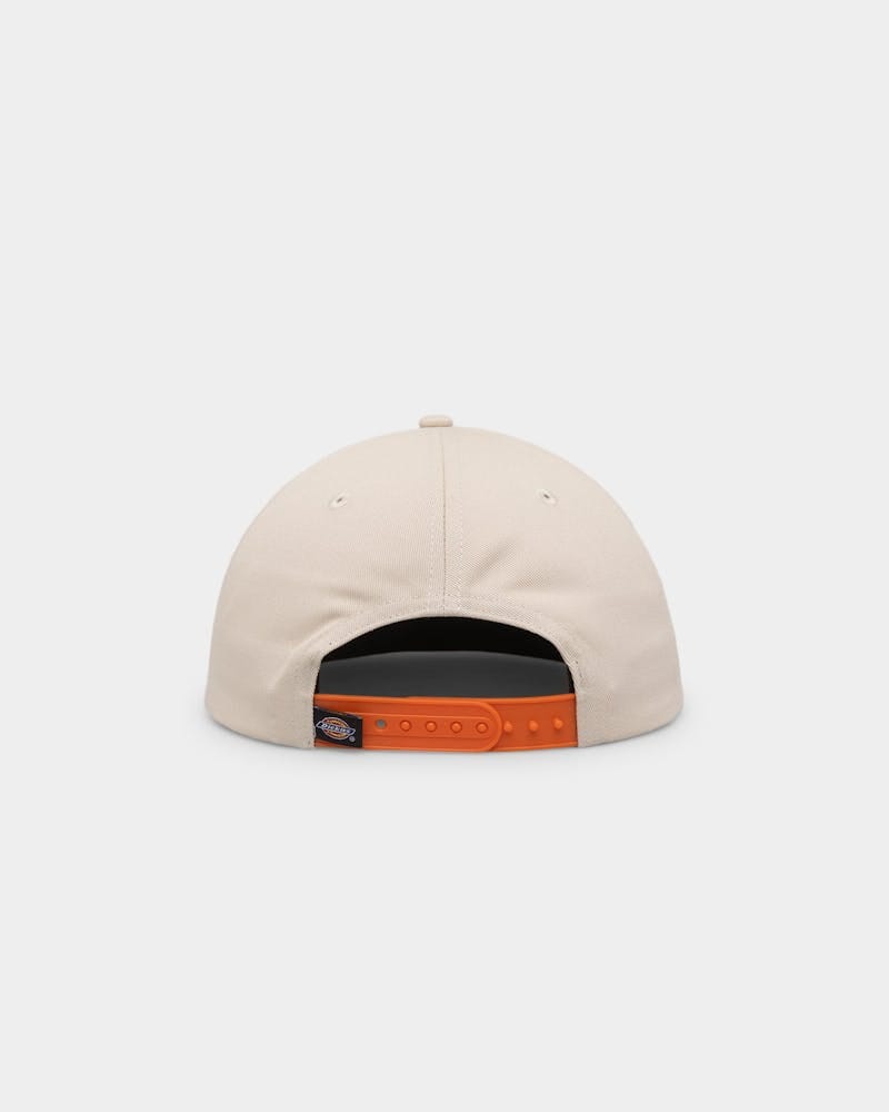 Dickies Classic Label Panelled Cap 
