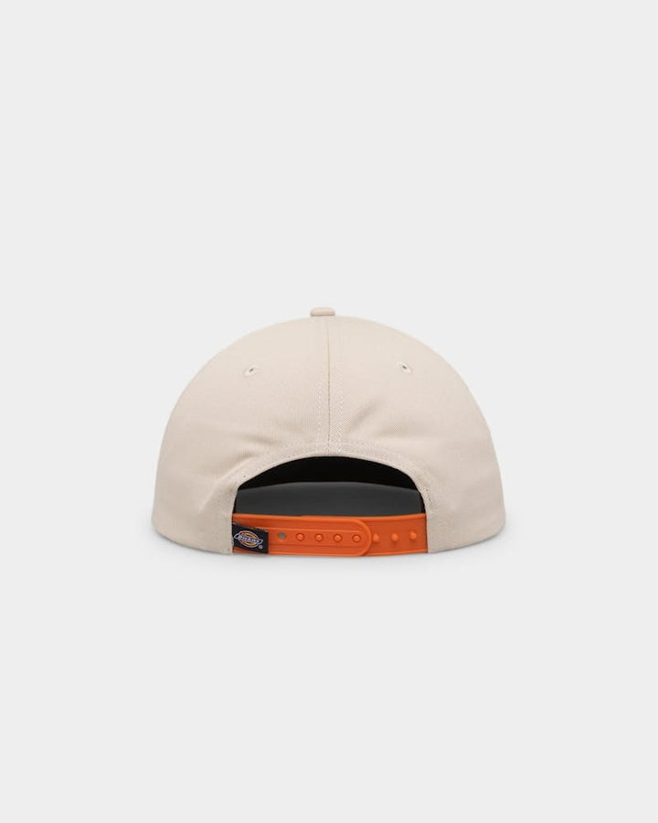 Dickies Classic Label Panelled Cap 