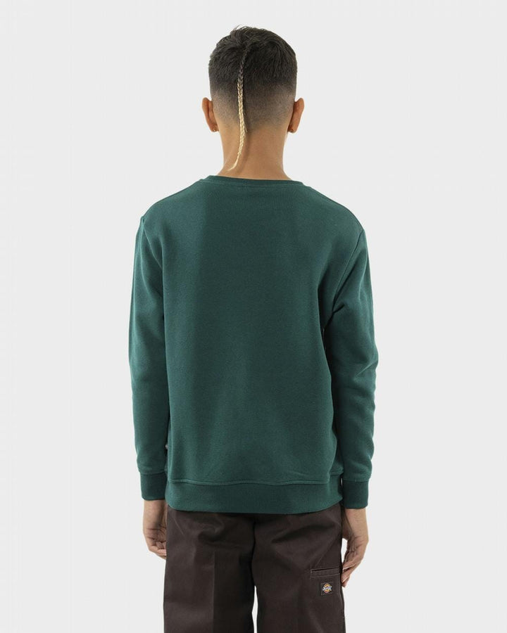 Dickies Longview Crew Neck Youth Sweatshirt 