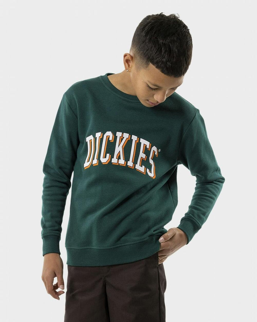 Dickies Longview Crew Neck Youth Sweatshirt 