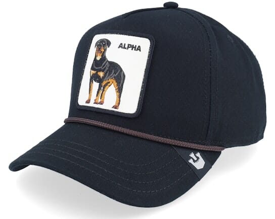 Goorin Bros Alpha Dog 100 Cap 
