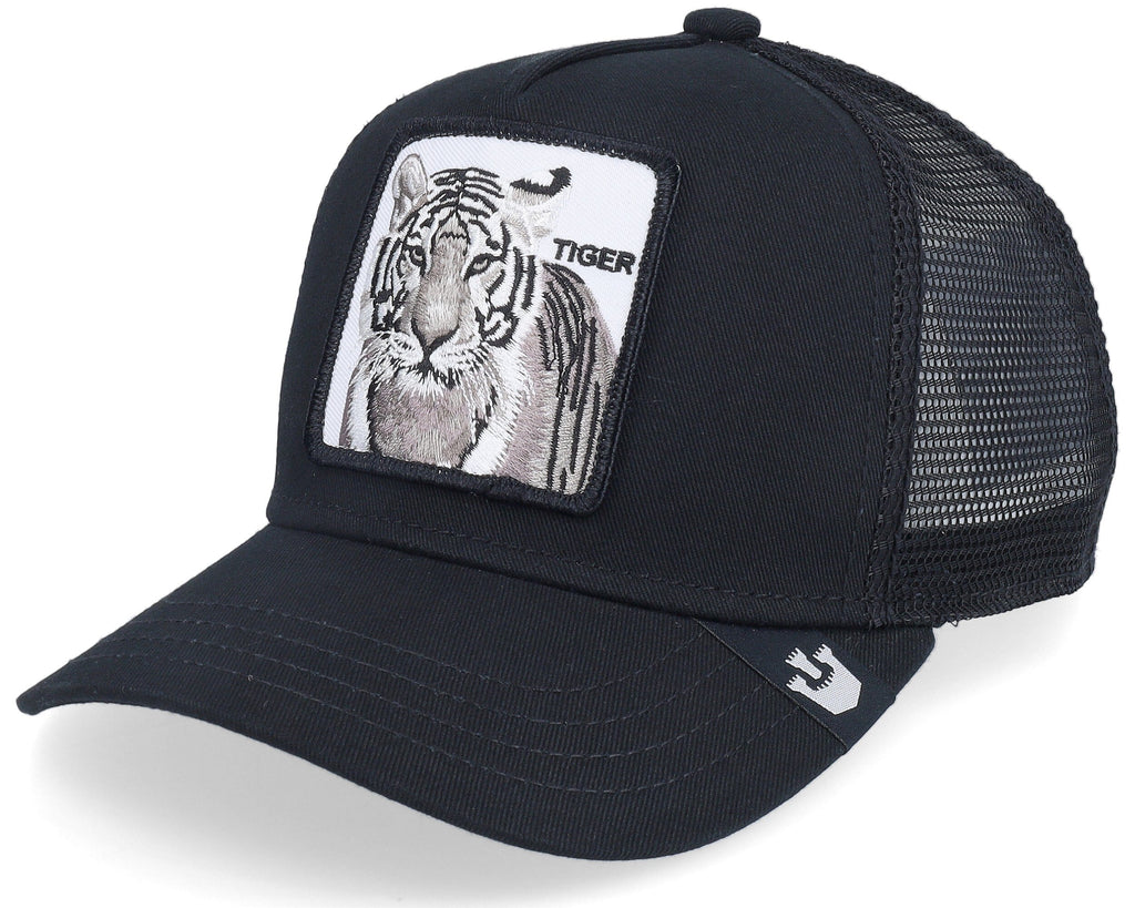 Goorin Earn Your Stripes Youth Cap 