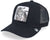 Goorin Earn Your Stripes Youth Cap 