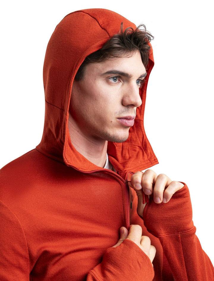 Icebreaker Merino 260 Quantum IV Long Sleeve Zip Hoodie 