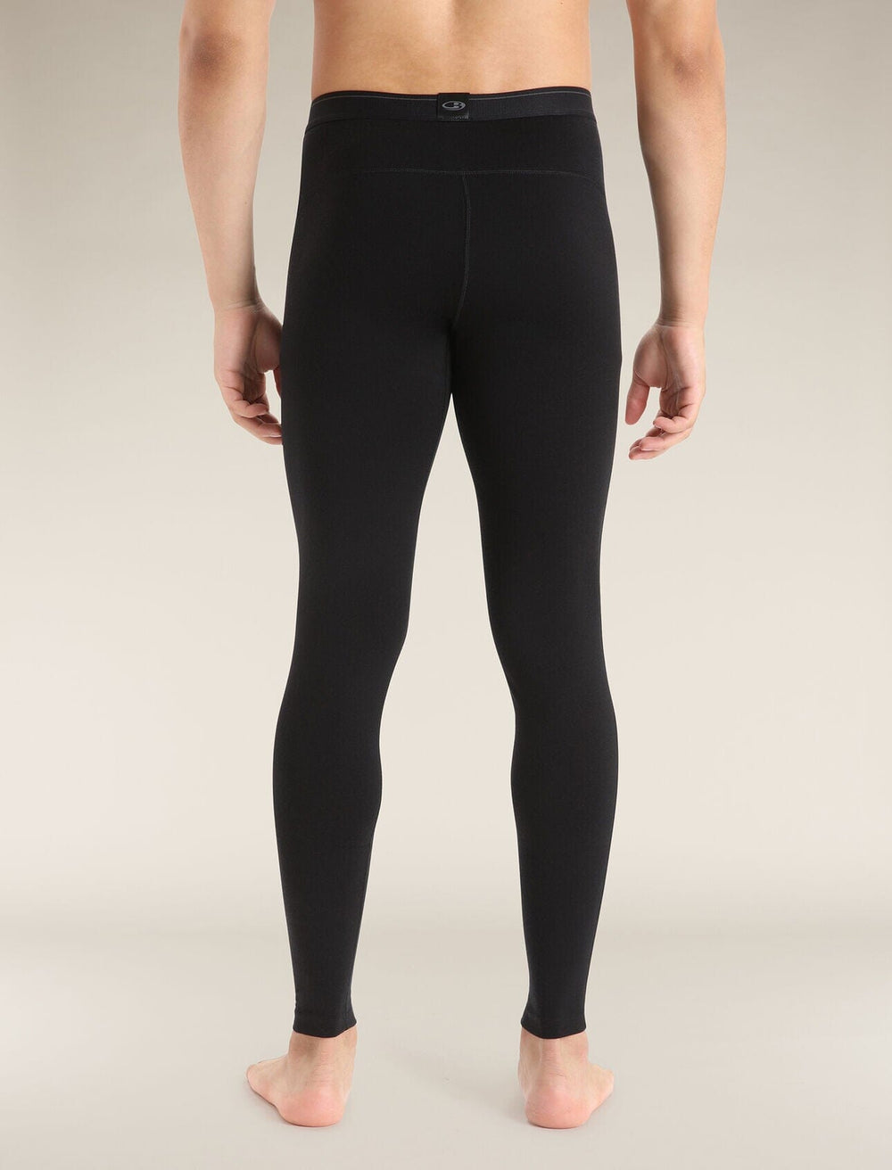 Icebreaker Merino 260 Tech Leggings 