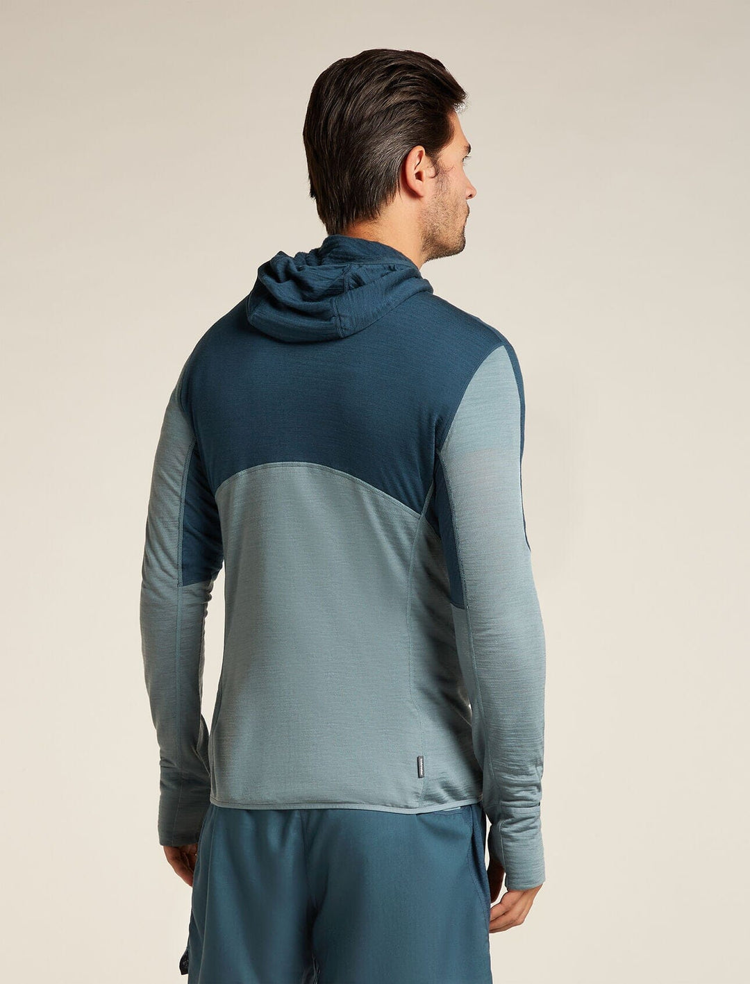 Icebreaker Merino Blend 200 Realfleece Descender Long Sleeve Zip Hoodie 