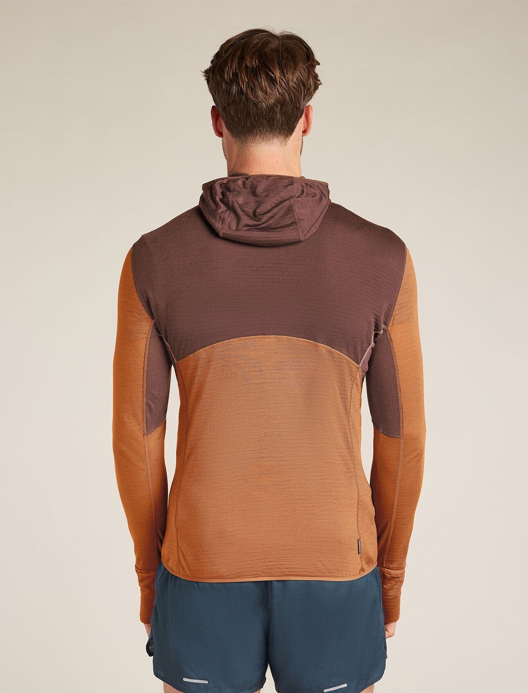 Icebreaker Merino Blend 200 Realfleece Descender Long Sleeve Zip Hoodie 