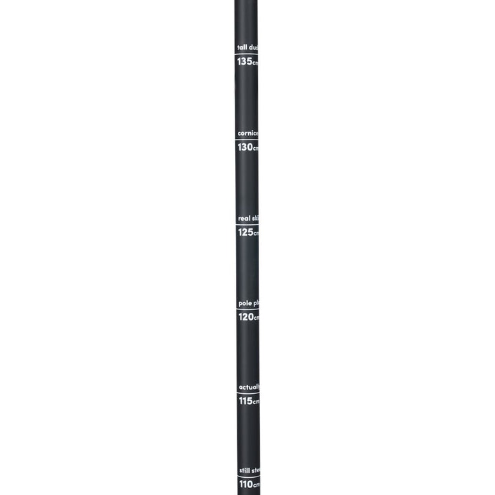Line Vision Ski Poles 