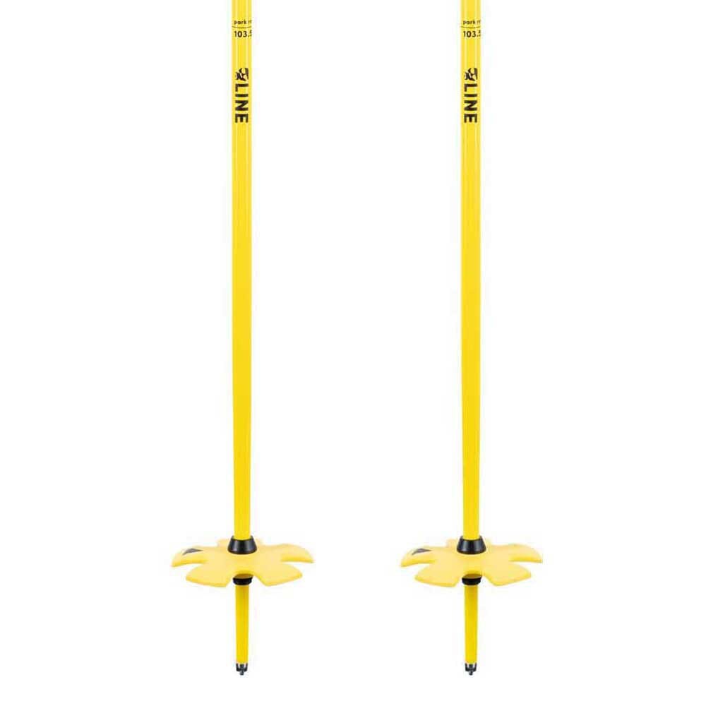 Line Vision Ski Poles 