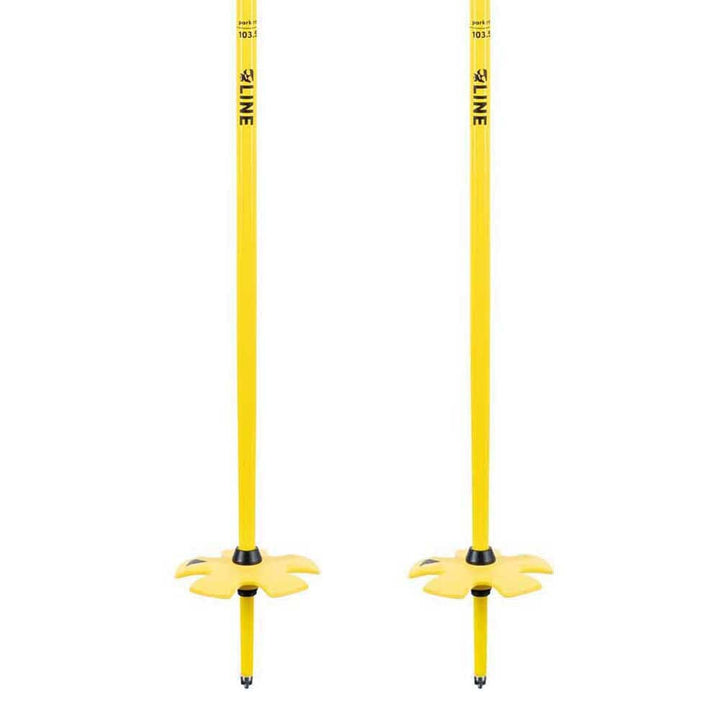 Line Vision Ski Poles 