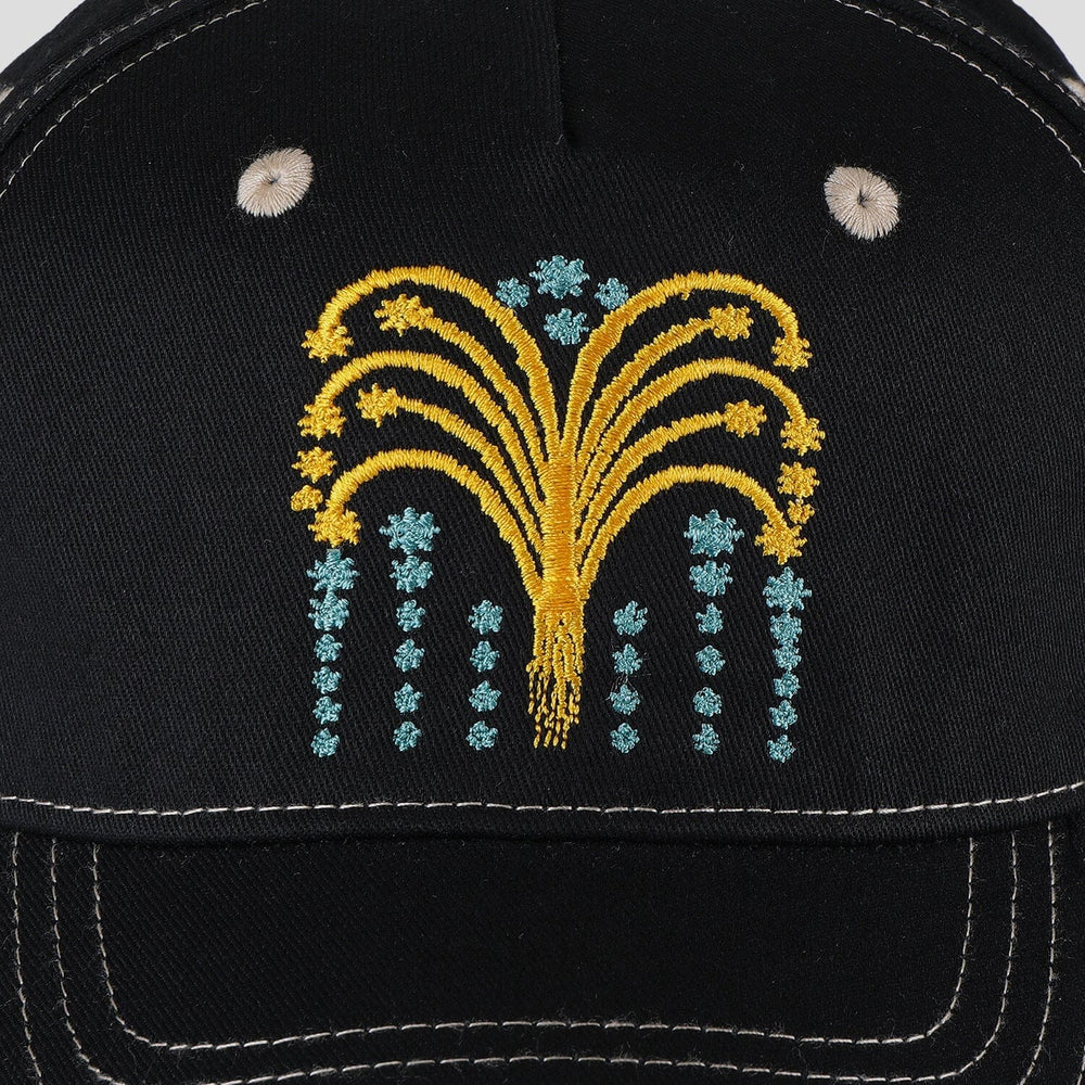 Passport Roman Candle Packers Cap 