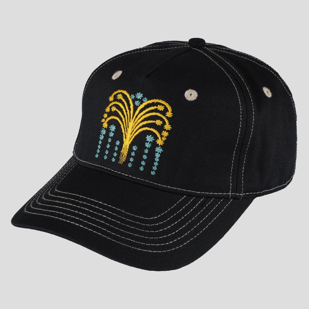 Passport Roman Candle Packers Cap Black 