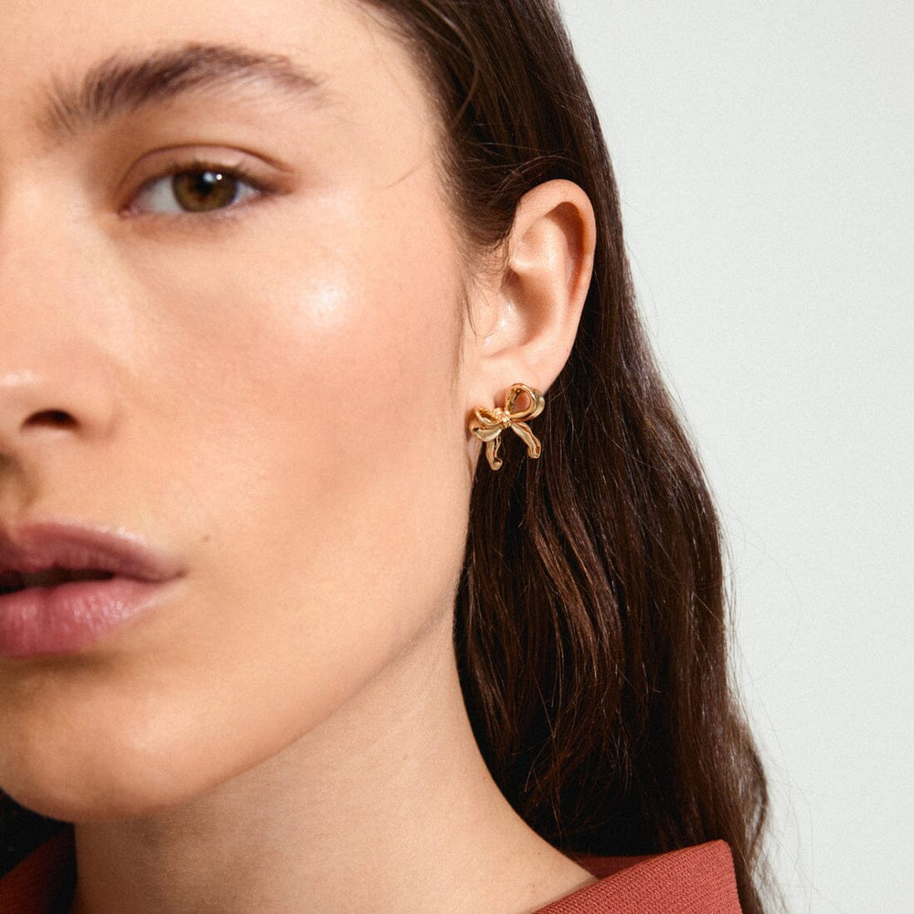 Pilgrim Cassian Earrings 