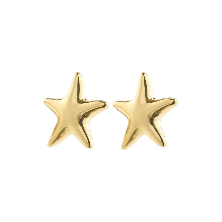 Pilgrim Force Recycled Earrings 