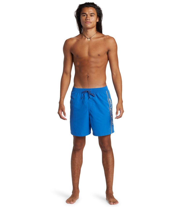 Quiksilver Everyday Vert Volley 17" Boardies 