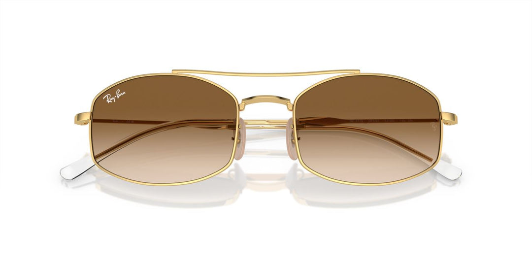 Ray-Ban 0RB3719 Sunglasses 