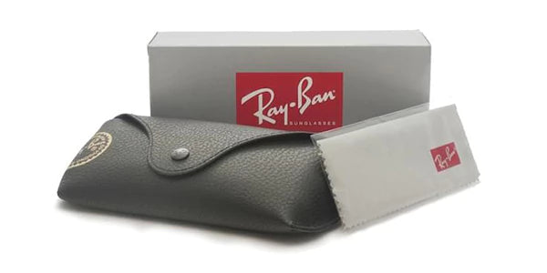 Ray-Ban Erik Sunglasses 