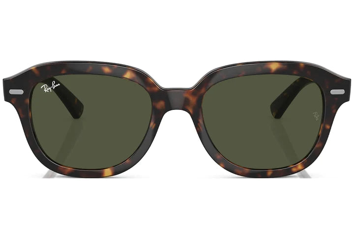 Ray-Ban Erik Sunglasses 