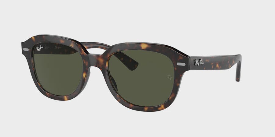 Ray-Ban Erik Sunglasses 