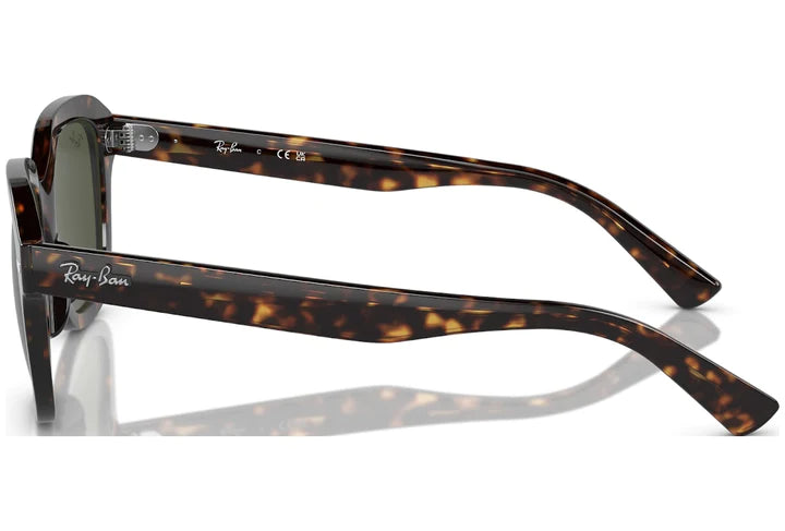 Ray-Ban Erik Sunglasses 