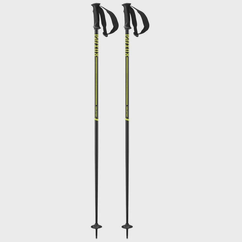 Salomon X 08 Ski Poles 