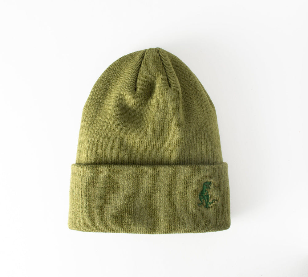 Spacecraft Legendary Cuff Beanie Olive 