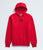 The North Face Fine Alpine Hoodie 