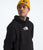 The North Face Fine Alpine Hoodie 