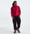 The North Face Fine Alpine Hoodie 