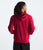 The North Face Fine Alpine Hoodie 