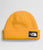 The North Face Salty Dog Lined Beanie 