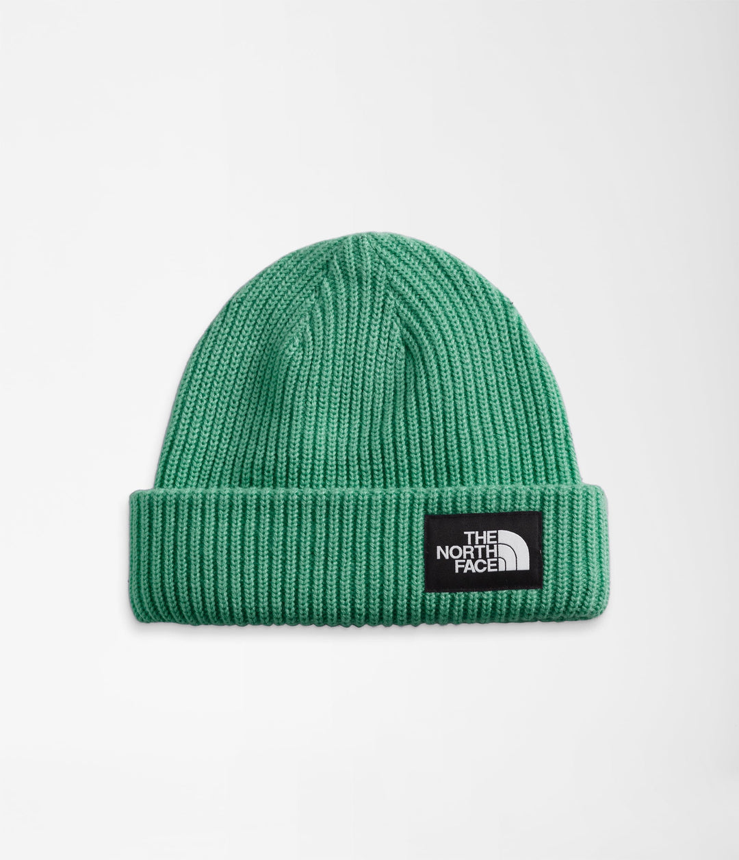 The North Face Salty Dog Lined Beanie 