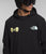 The North Face Tekno Logo Hoodie 