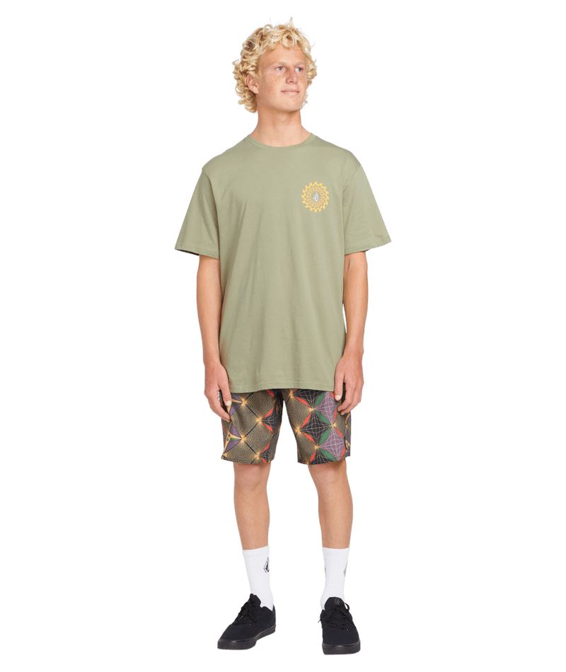 Volcom Interwebz Stoney 19" Boardshorts 