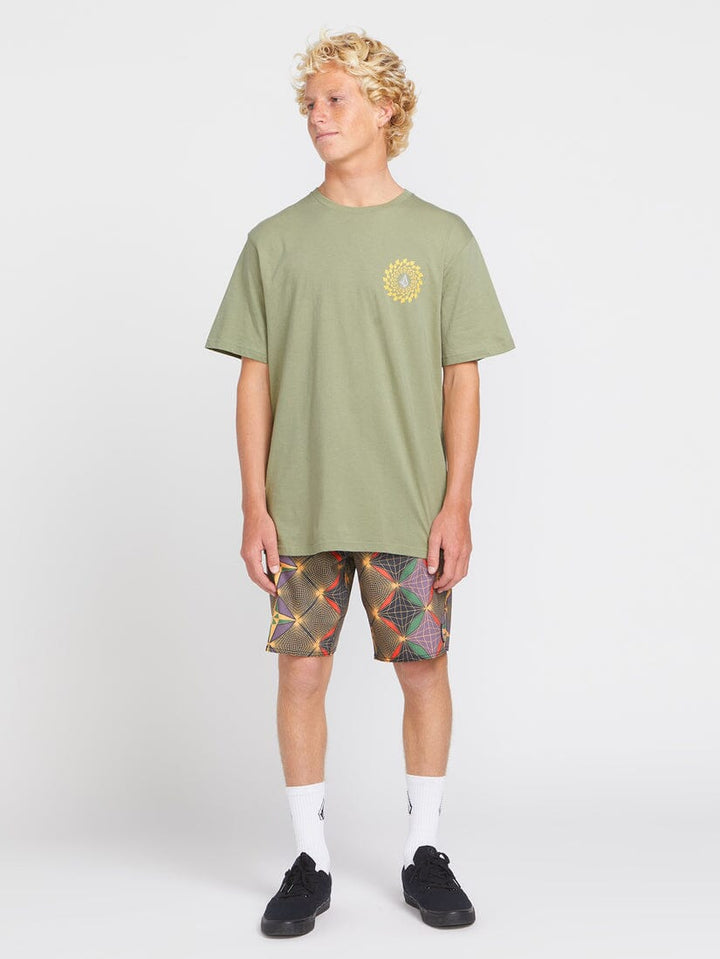 Volcom Interwebz Stoney 19" Boardshorts 