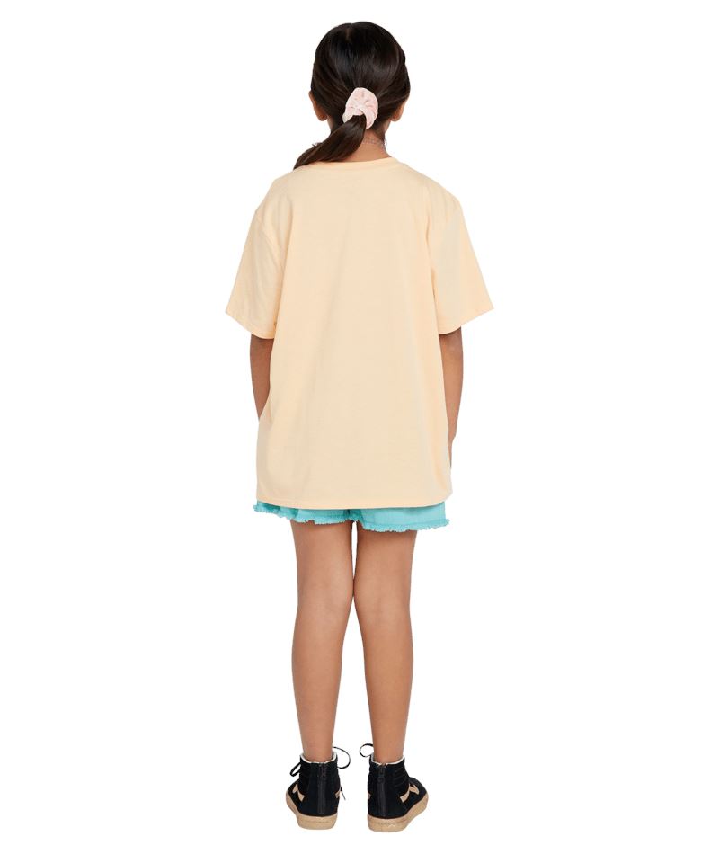 Volcom Truly Stoked BF Youth T-Shirt 