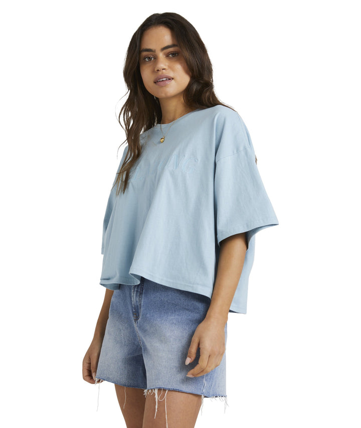Billabong Baseline T-Shirt 