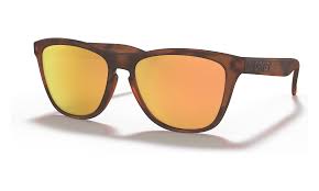 Oakley Frogskins Polarised Sunglasses 
