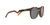 Oakley HSTN Polarised Sunglasses 