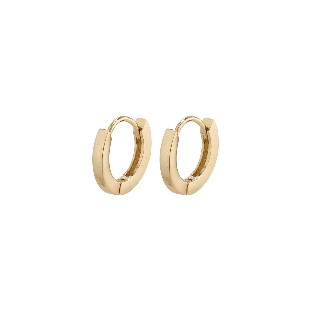 Pilgrim Arnelle Earrings Gold Plated 