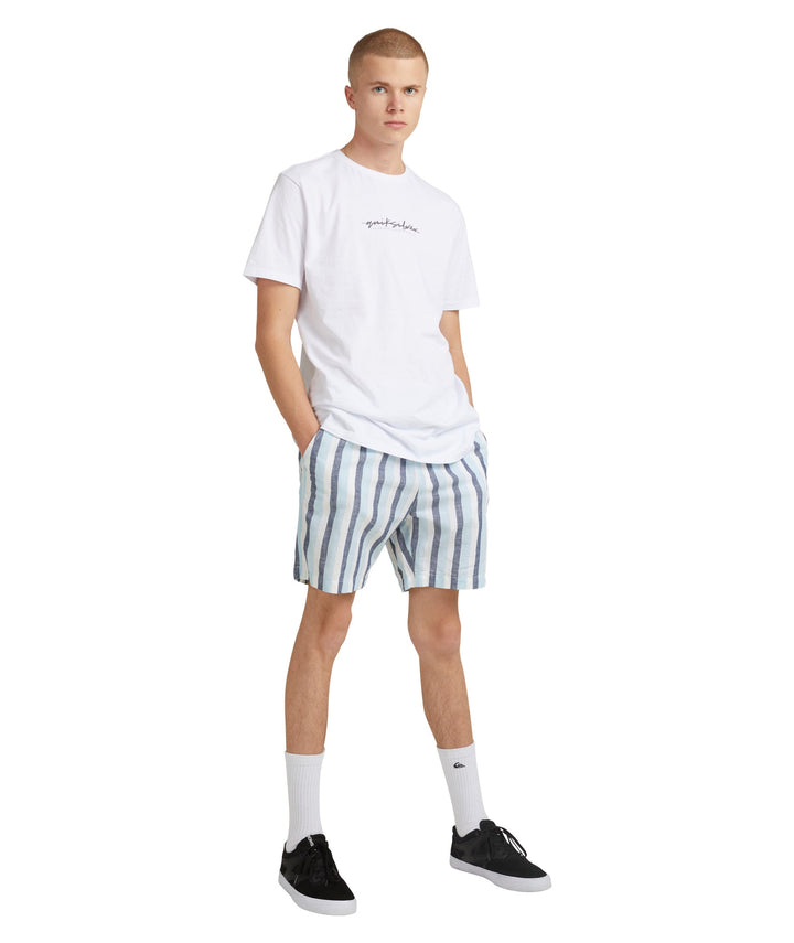 Quiksilver Lite Stripes El Walkshort 