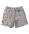 Quiksilver Radical Arch Volley Youth 14" Boardshorts 