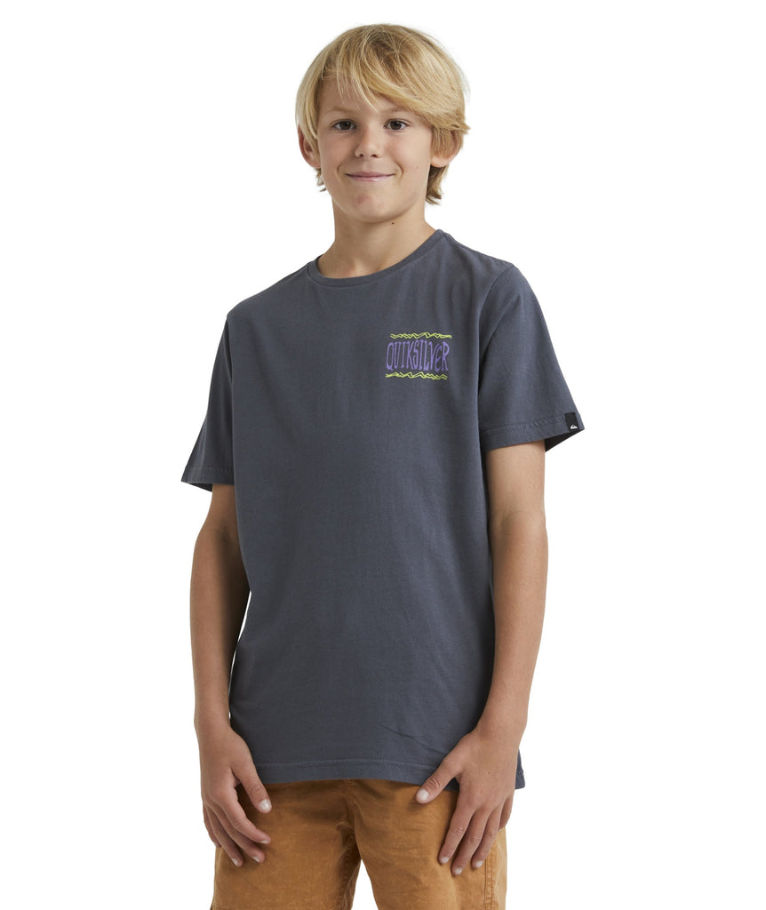 Quiksilver Taking Roots Youth T-Shirt 