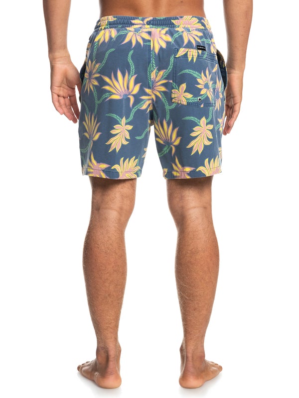 Quiksilver Washed Session 17" Boardshorts 