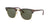 Ray-Ban Clubmaster Polarised Sunglasses Red Havana / G15 Green - Large 