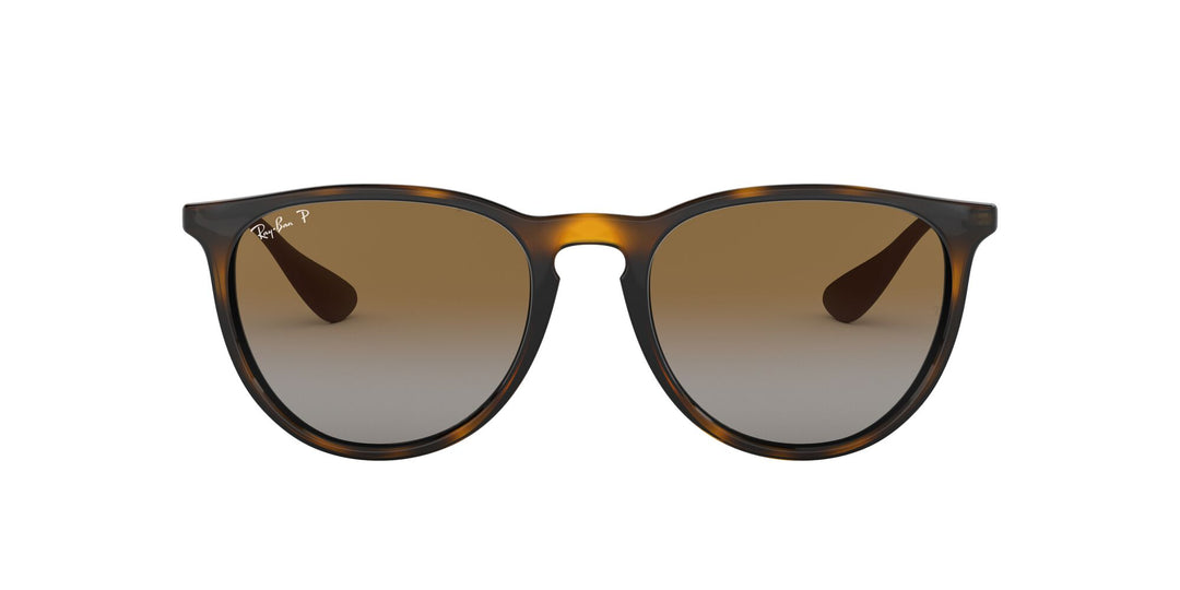 Ray-Ban Erika Polarised Sunglasses 